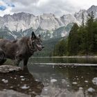 Am Fuße der Zugspitze