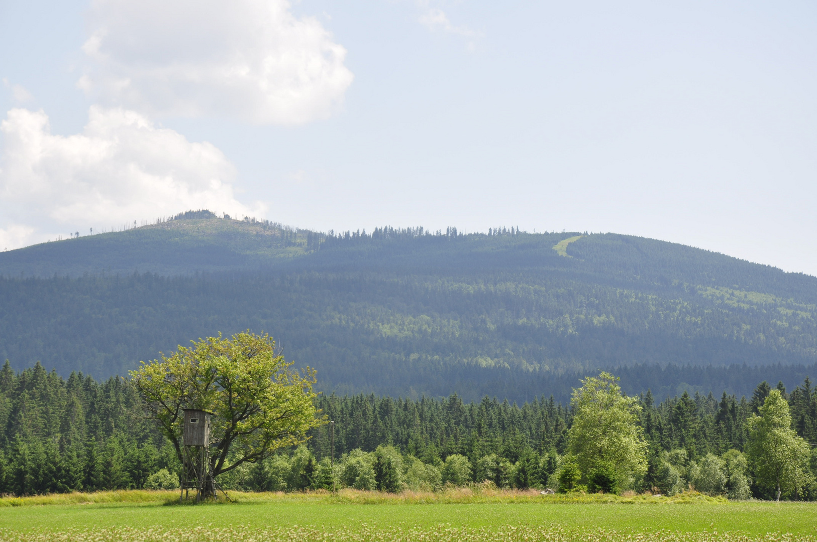 Am Fuße des Dreisessel