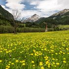 Am Fuße des Großglockners (2)