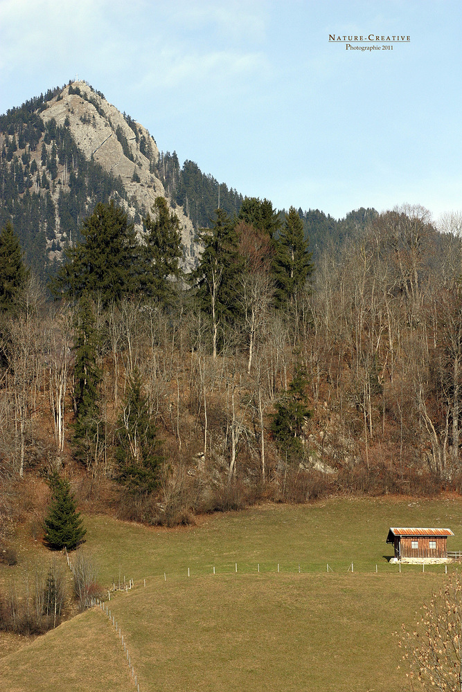 "Am Fuße des Grüntengipfels 1738m bei Burgberg"