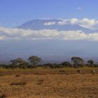 Am Fuße des Kilimanjaro