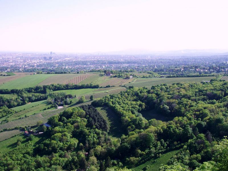 Am Fuße des Leopoldsberges