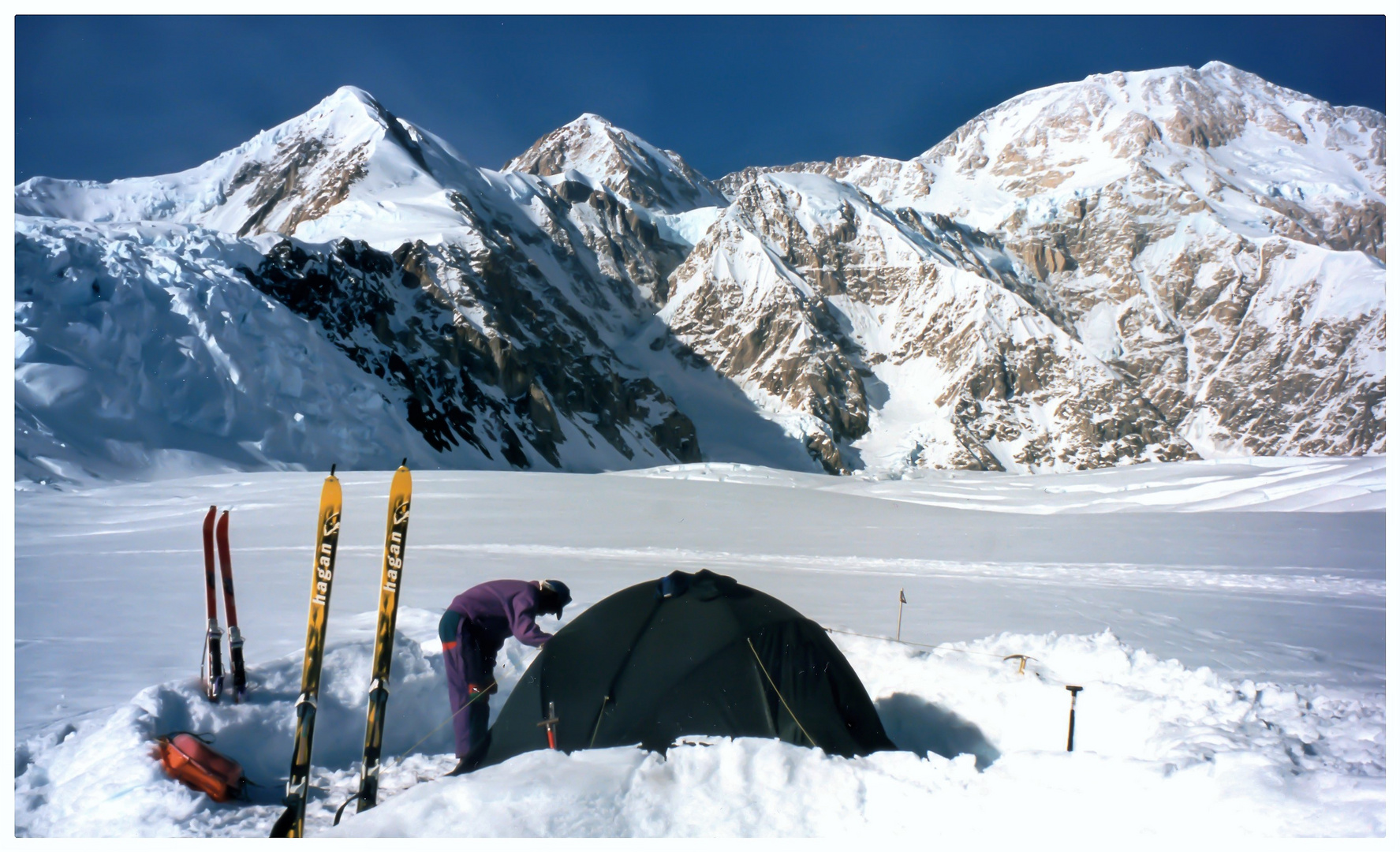 Am Fuße des mächtigen Denali