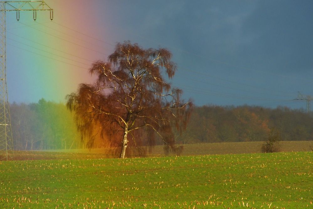 Am Fuße des Regenbogens