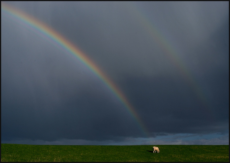 am fuße des regenbogens...( reload)