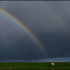 am fuße des regenbogens...( reload)