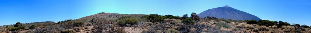 Am Fuße des Teide