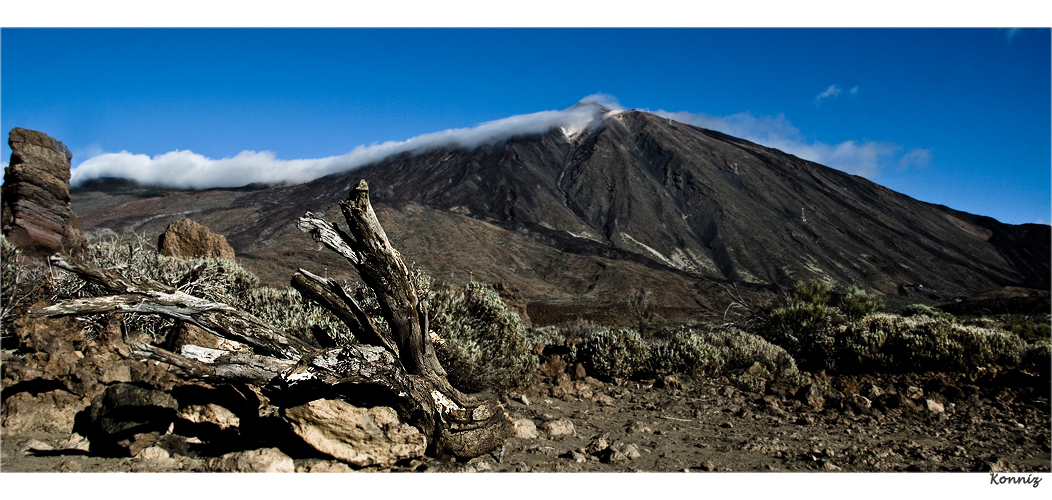 Am Fuße des Teide 2