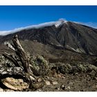 Am Fuße des Teide 2