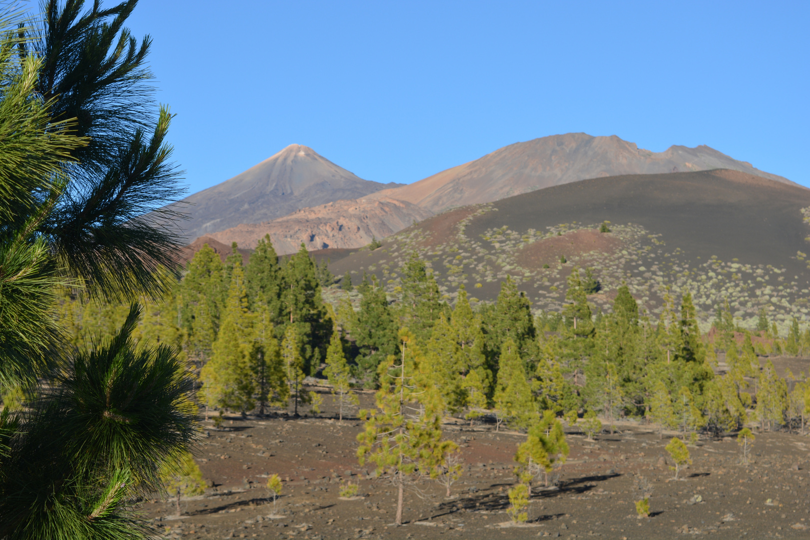 am Fuße des Teide