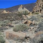 Am Fuße des Teide