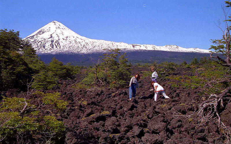 Am Fuße des Volcan Llaima