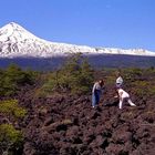 Am Fuße des Volcan Llaima