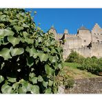 Am Fuße von Carcassonne