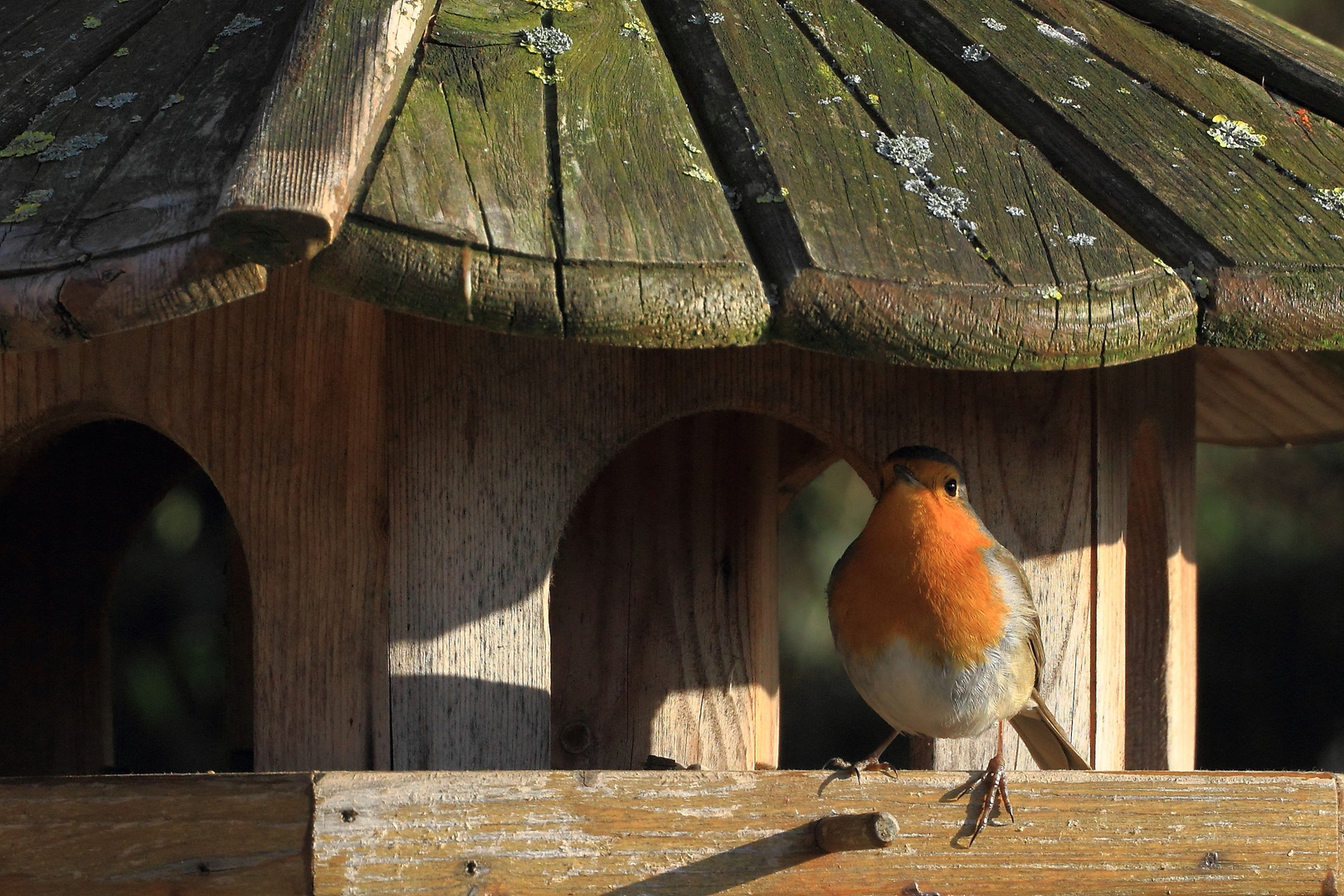 Am Futterhaus #5