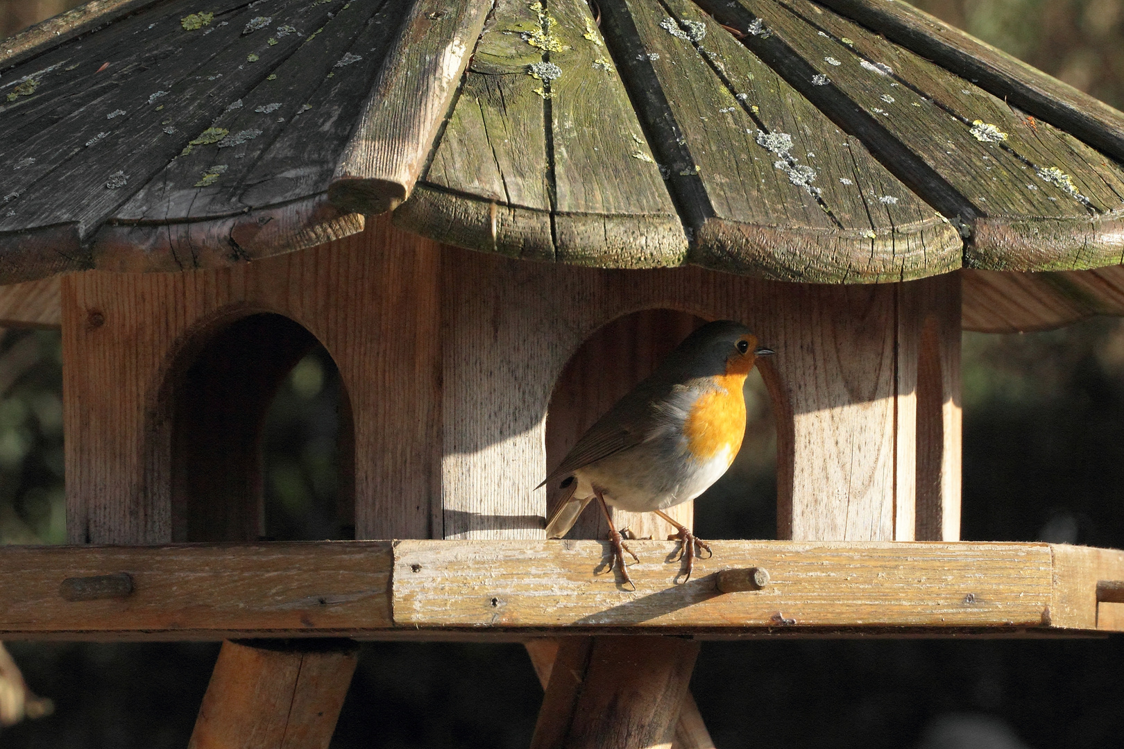 Am Futterhaus #8