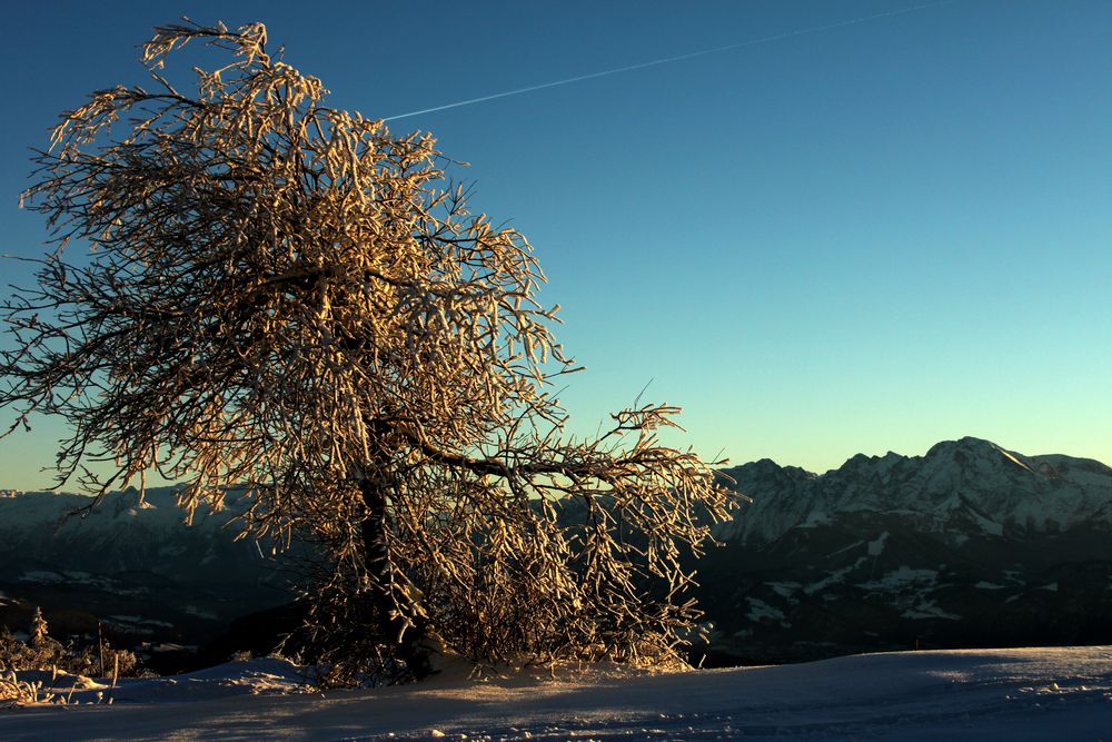 Am Gaisberg