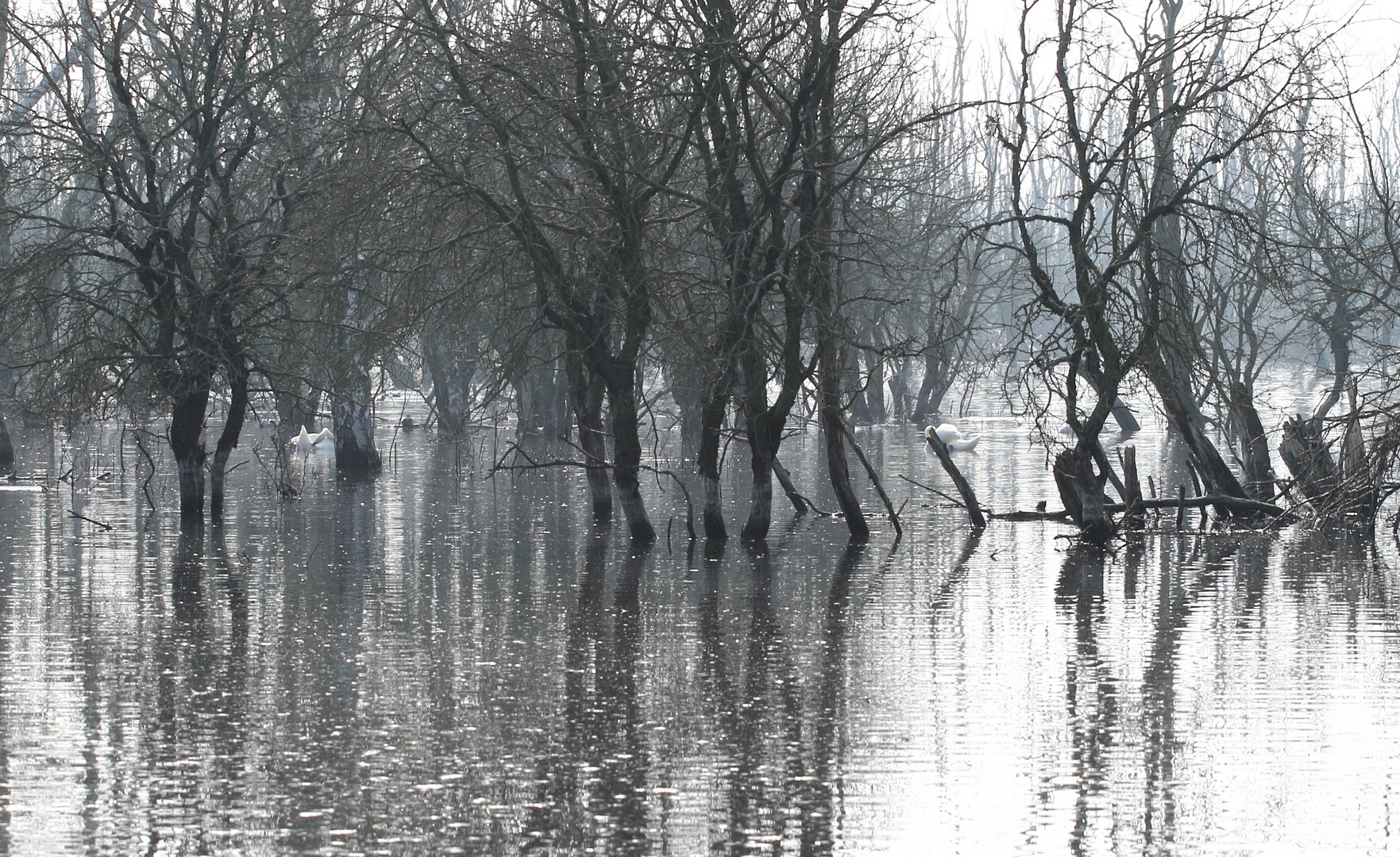 Am Galenbecker See