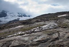 Am Gamsgrubenweg (Großglockner, Österreich)