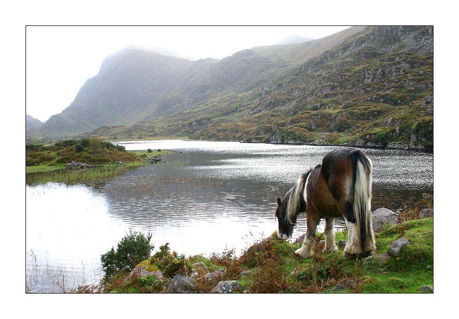 Am Gap of Dunloe