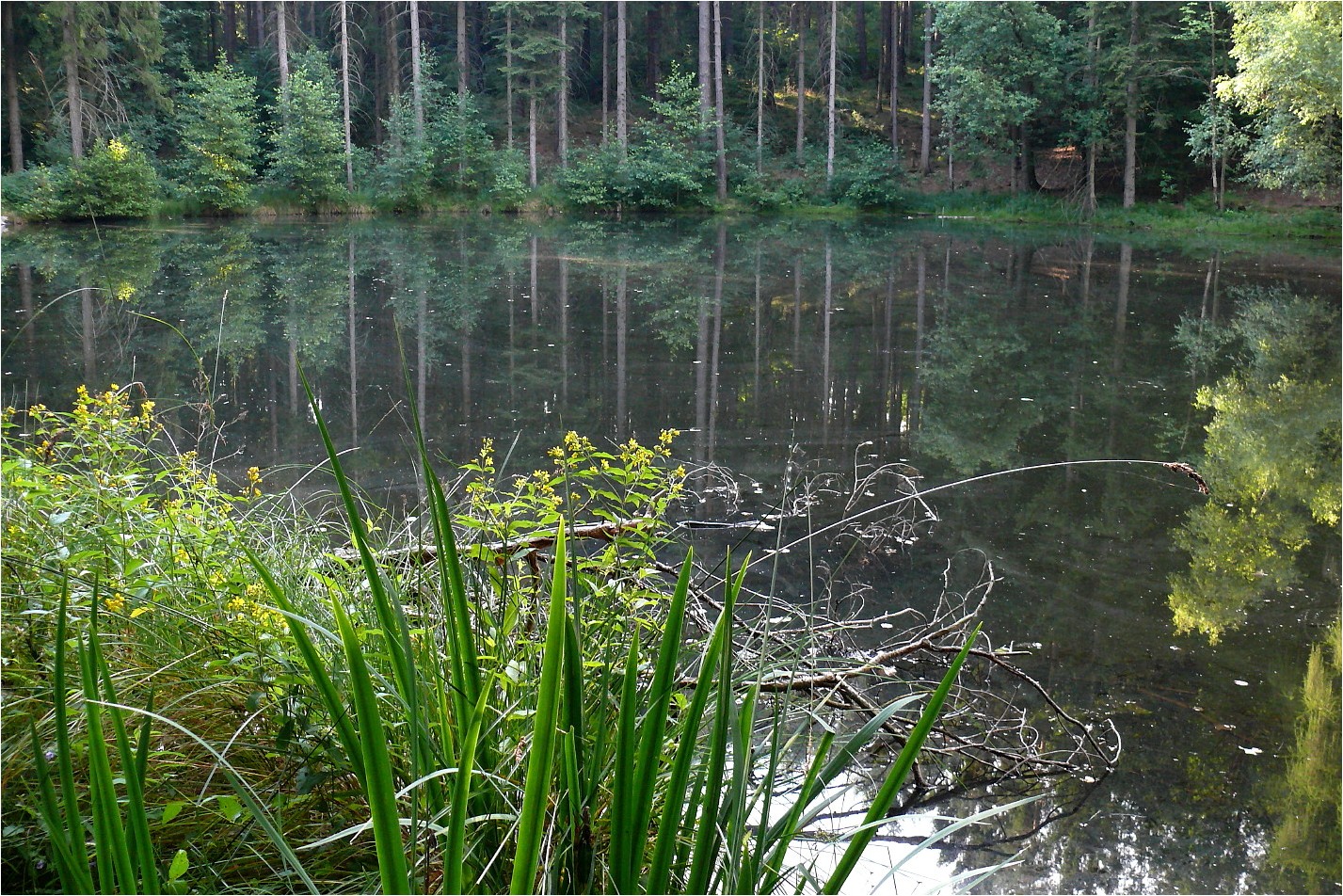 Am (gar nicht so) Schwarzen Teich