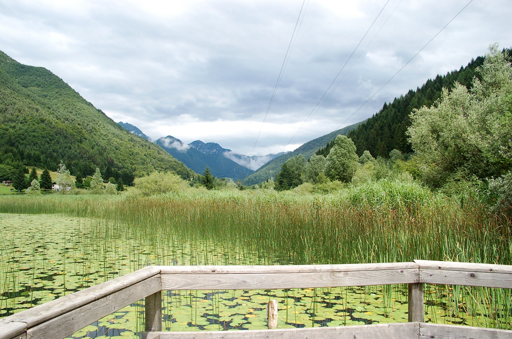 Am Gardasee 2