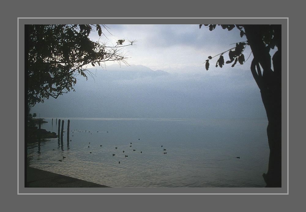 Am Gardasee