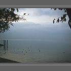 Am Gardasee