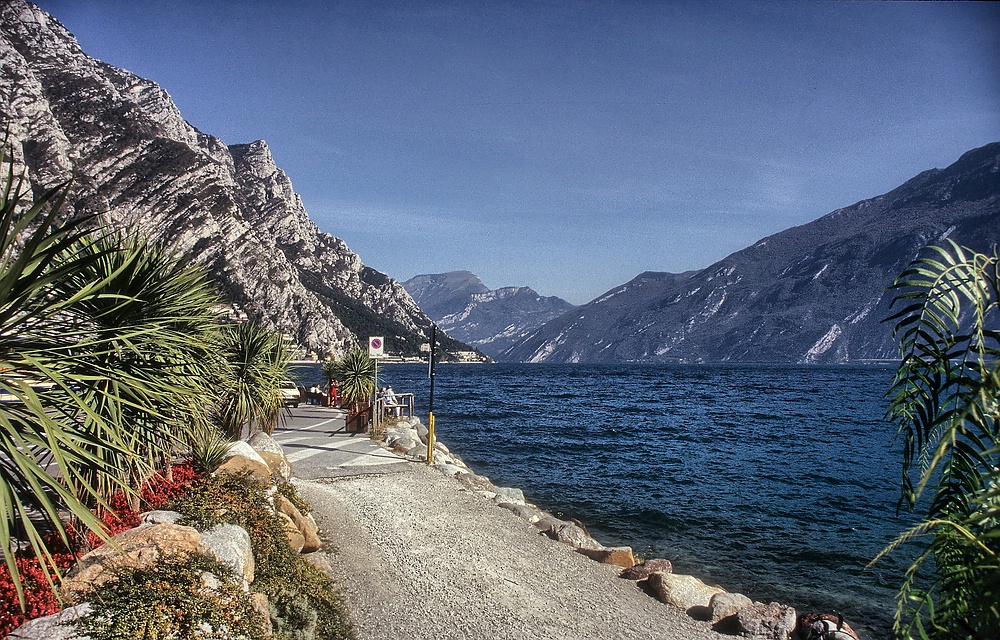 Am Gardasee