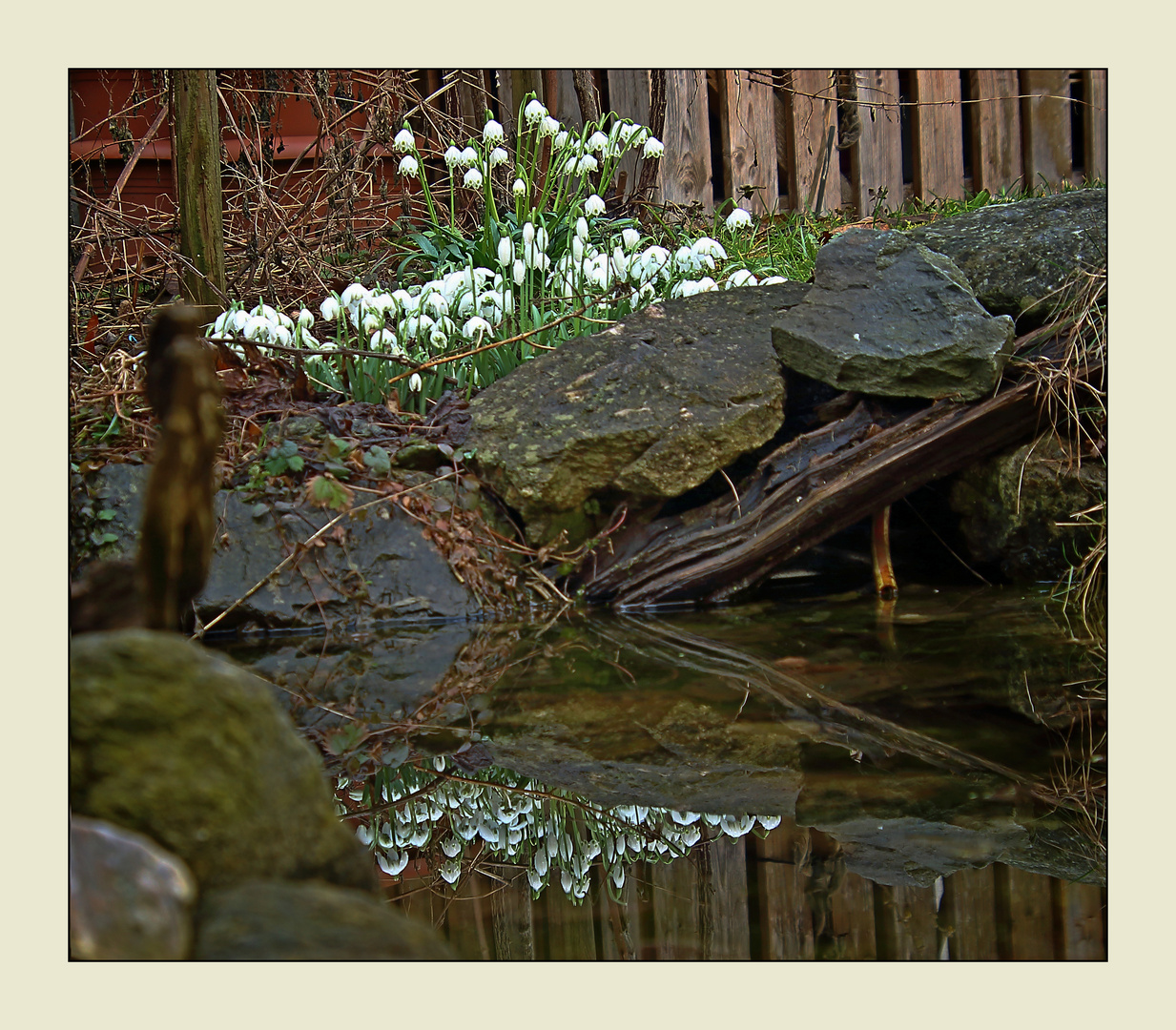 Am Gartenteich