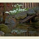 Am Gartenteich