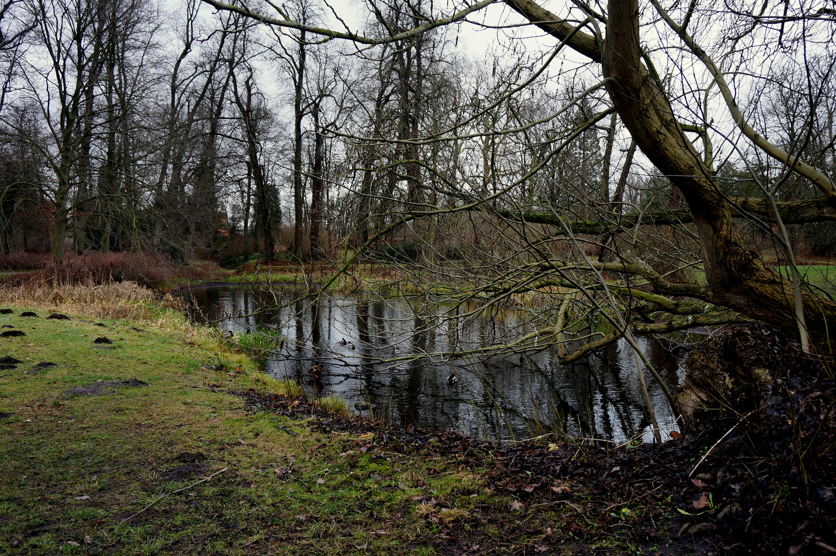 Am Gartenteich