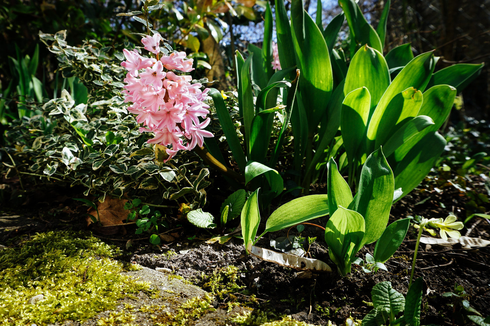 Am Gartenweg