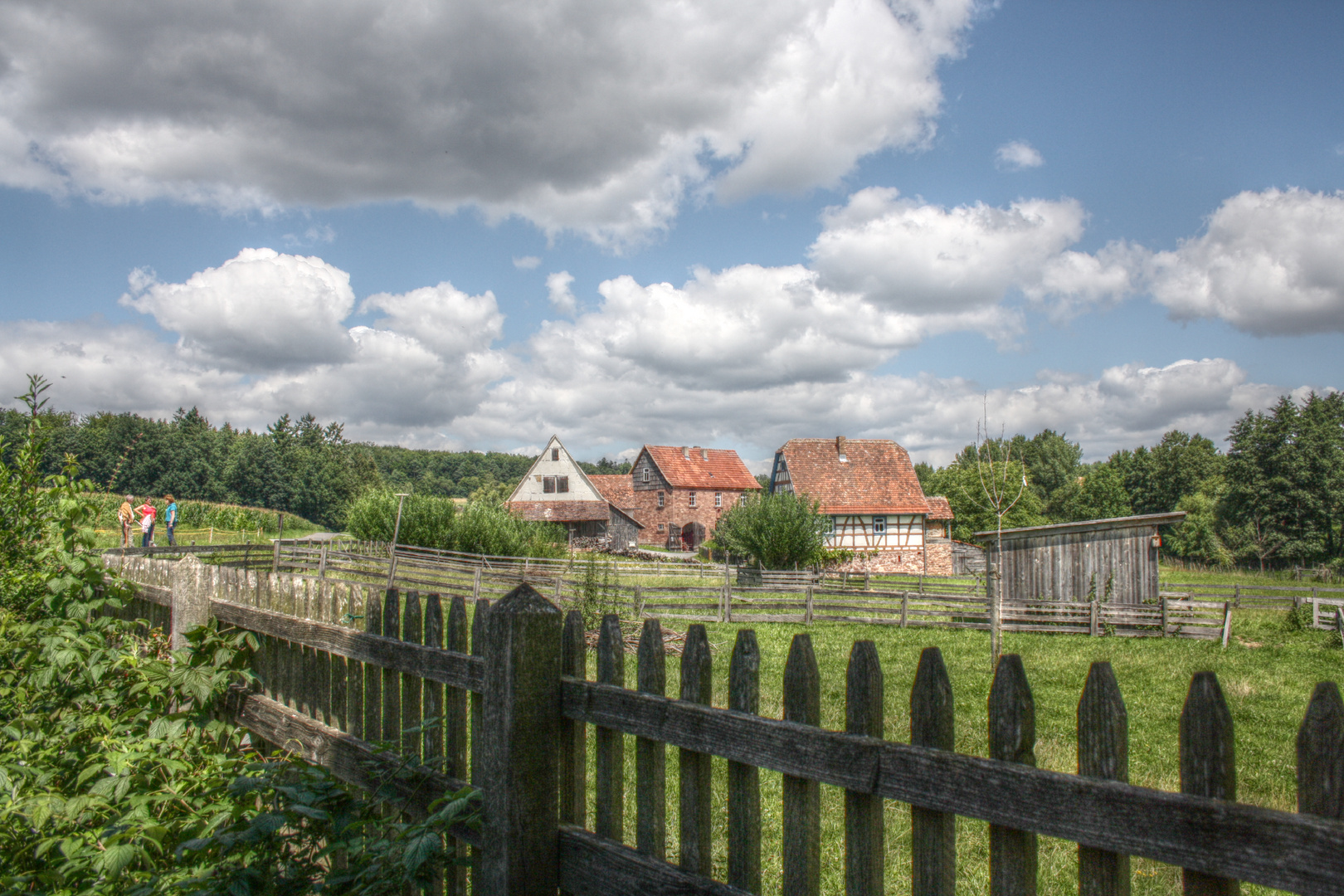 Am Gartenzaun