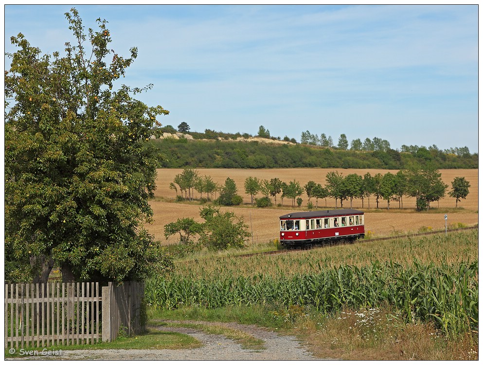 Am Gartenzaun vor Bad Suderode