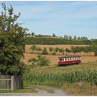 Am Gartenzaun vor Bad Suderode