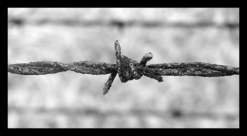 Am Gedenktag der Befreiung des Konzentrationslagers Buchenwald