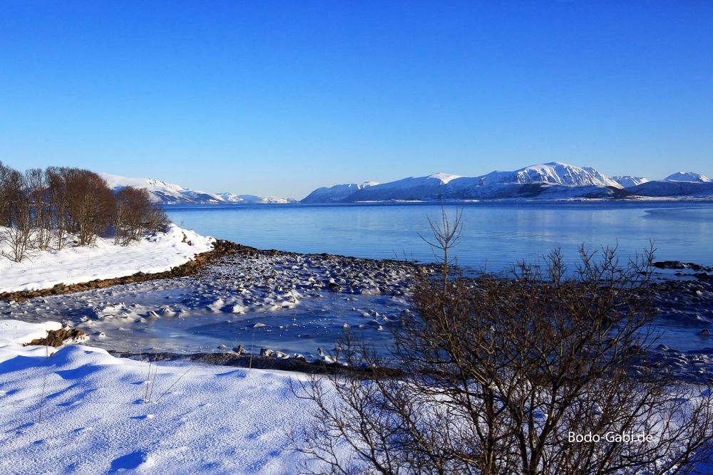 Am gefrorenen Fjord