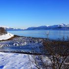 Am gefrorenen Fjord