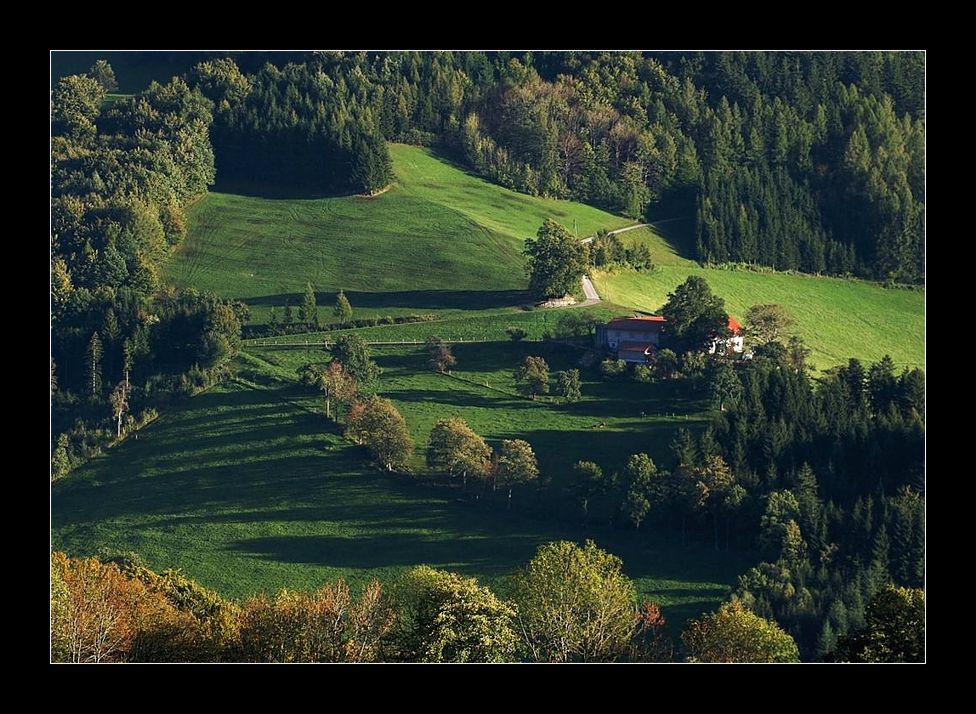 am geißbühel (goaßbichl)