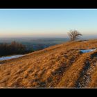 ~ Am gelben Berg 1 ~