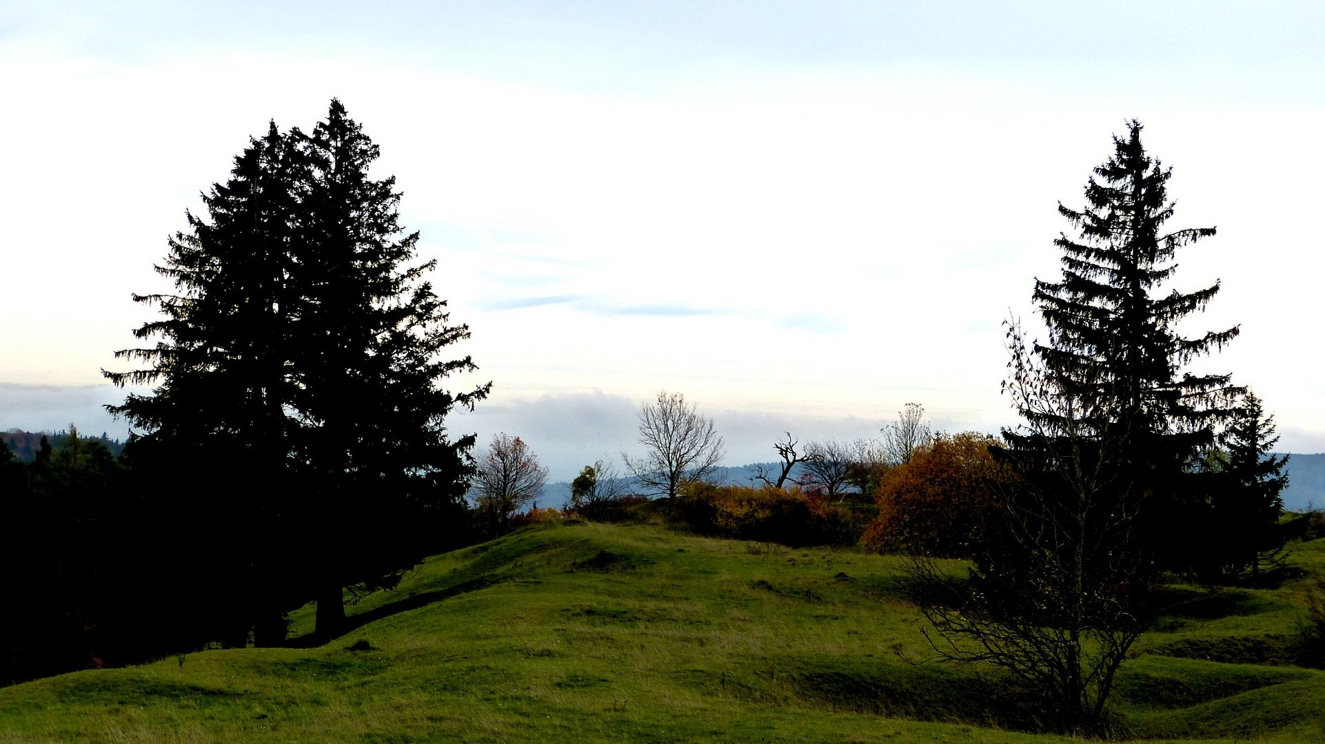 am Gelben Berg 1 5