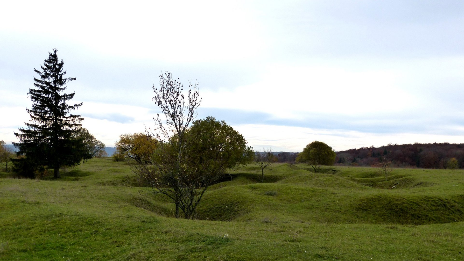 am Gelben Berg 1 7