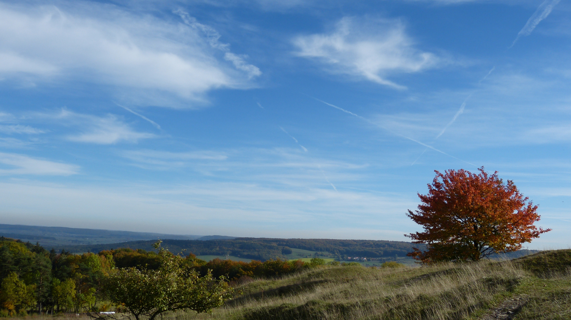 am Gelben Berg 15