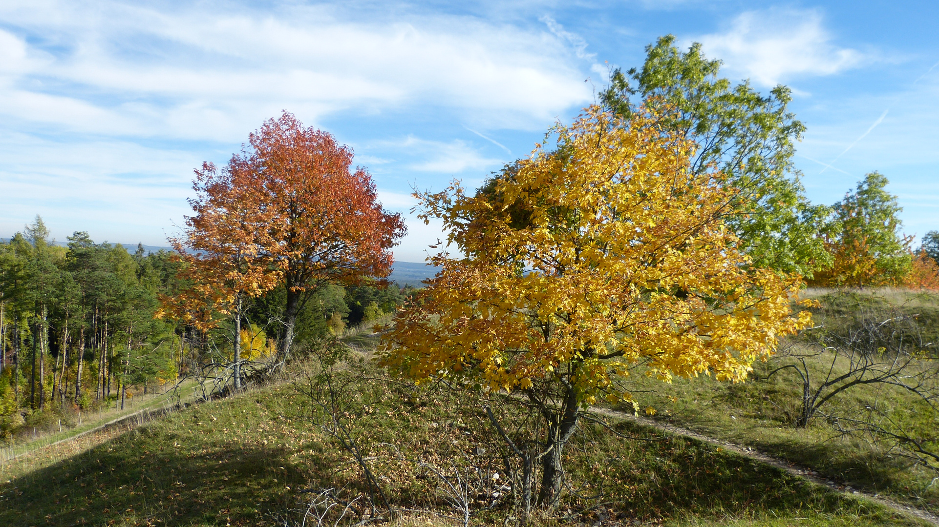 am Gelben Berg 16