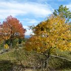 am Gelben Berg 16