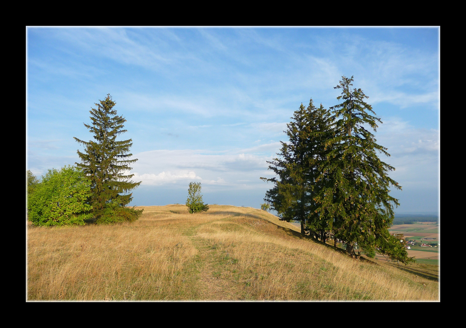 ~ Am gelben Berg 4 ~