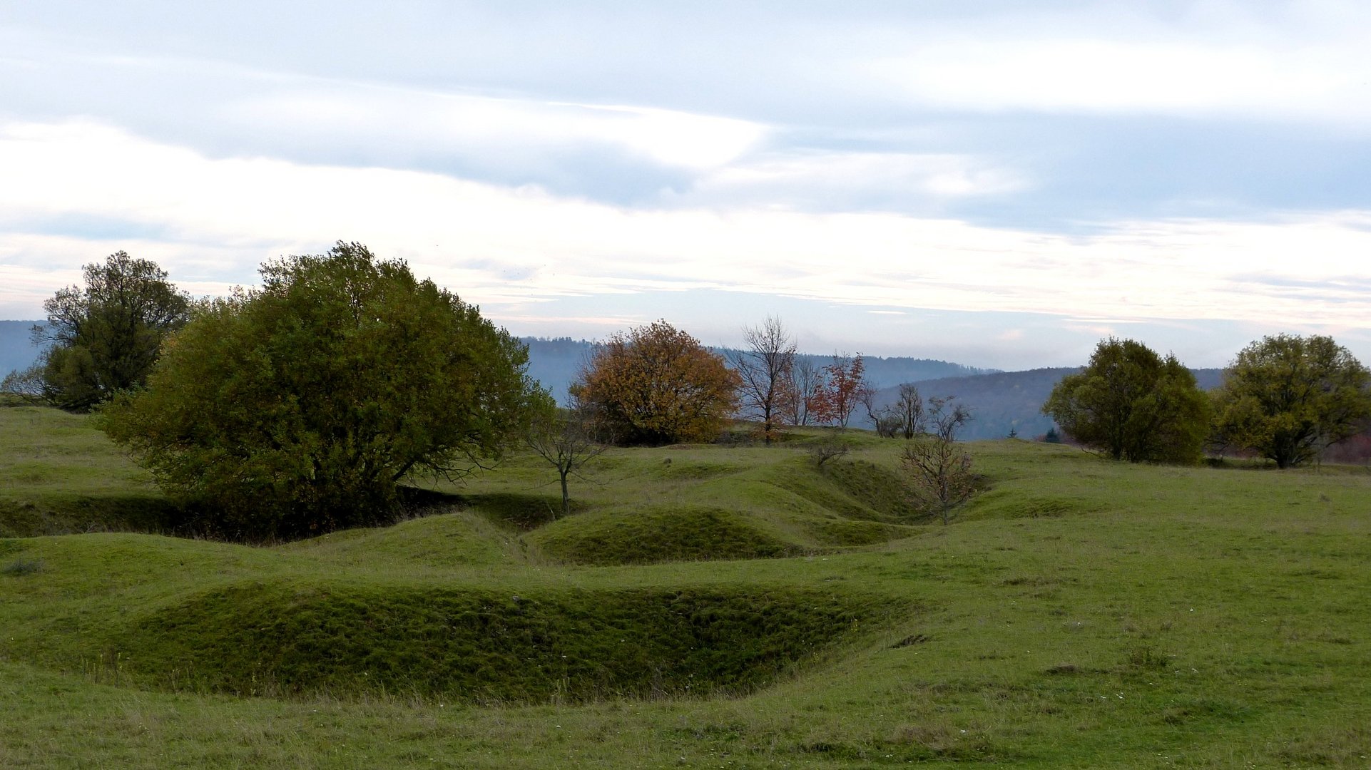 Am Gelben Berg