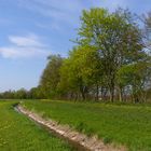 Am Gennacher Suezkanal