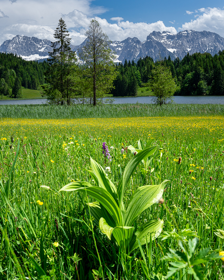 Am Geroldsee